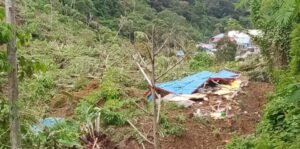 Musibah tanah longsor di Kampung Mbenti, Distrik Minyambouw, Kabupaten Pegaf, Minggu (26/5/2024). Foto: IST